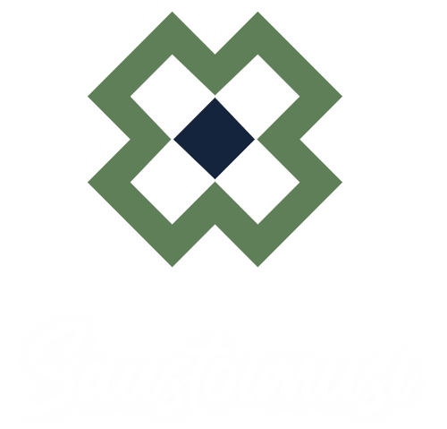 Saustoimusi